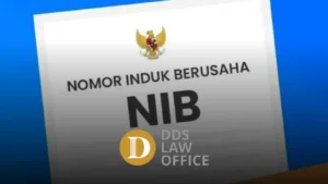 Ilustrasi Nomor Induk Berusaha NIB dalam sistem OSS